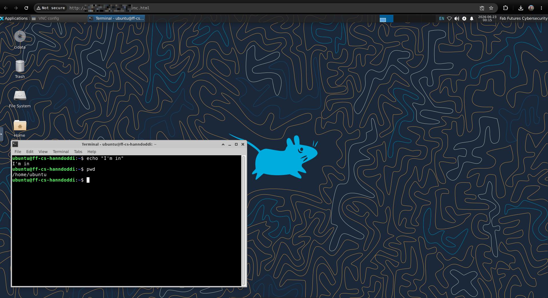 vnc