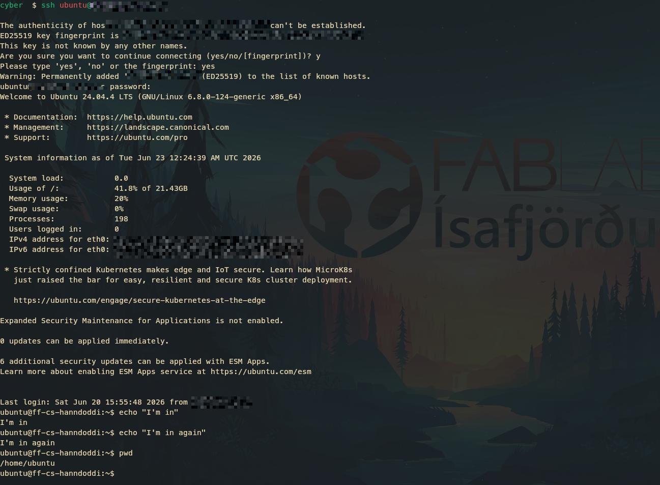 terminal ssh
