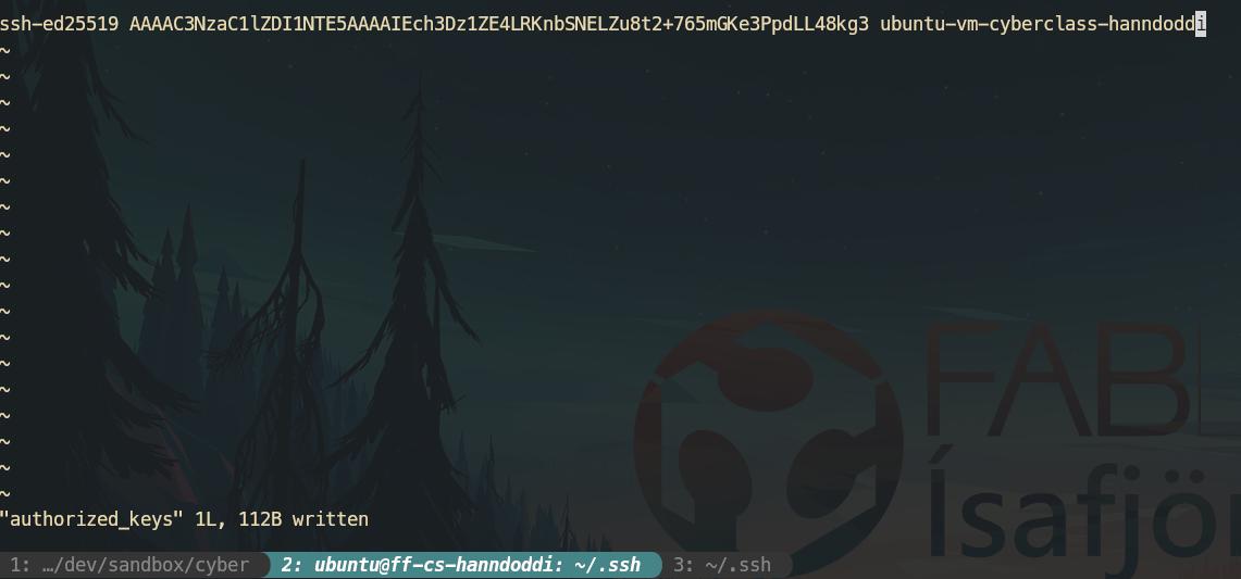 VM text editor key