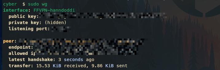 check wg