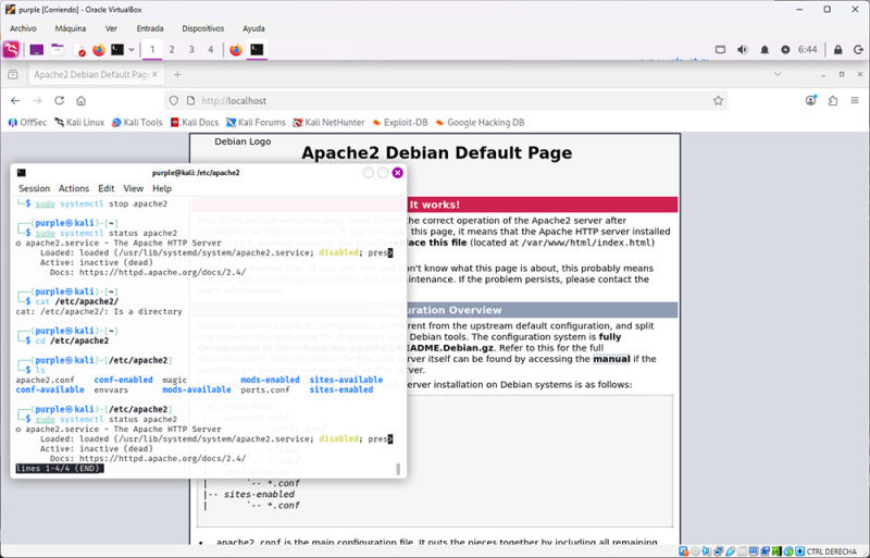 default apache page served by the host nginx install