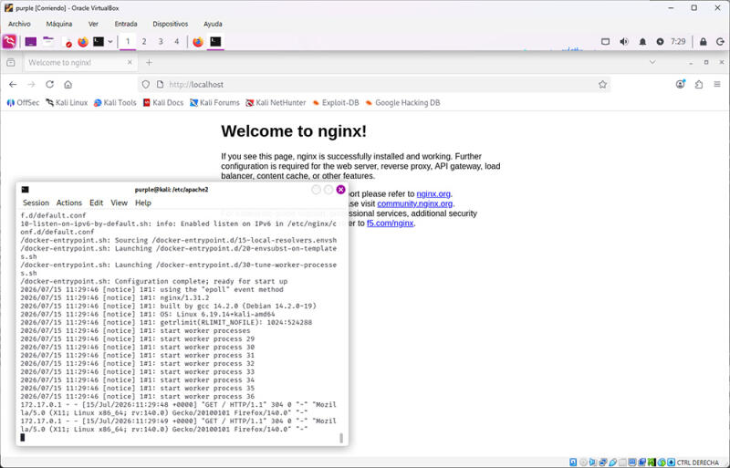 nginx service running through docker container