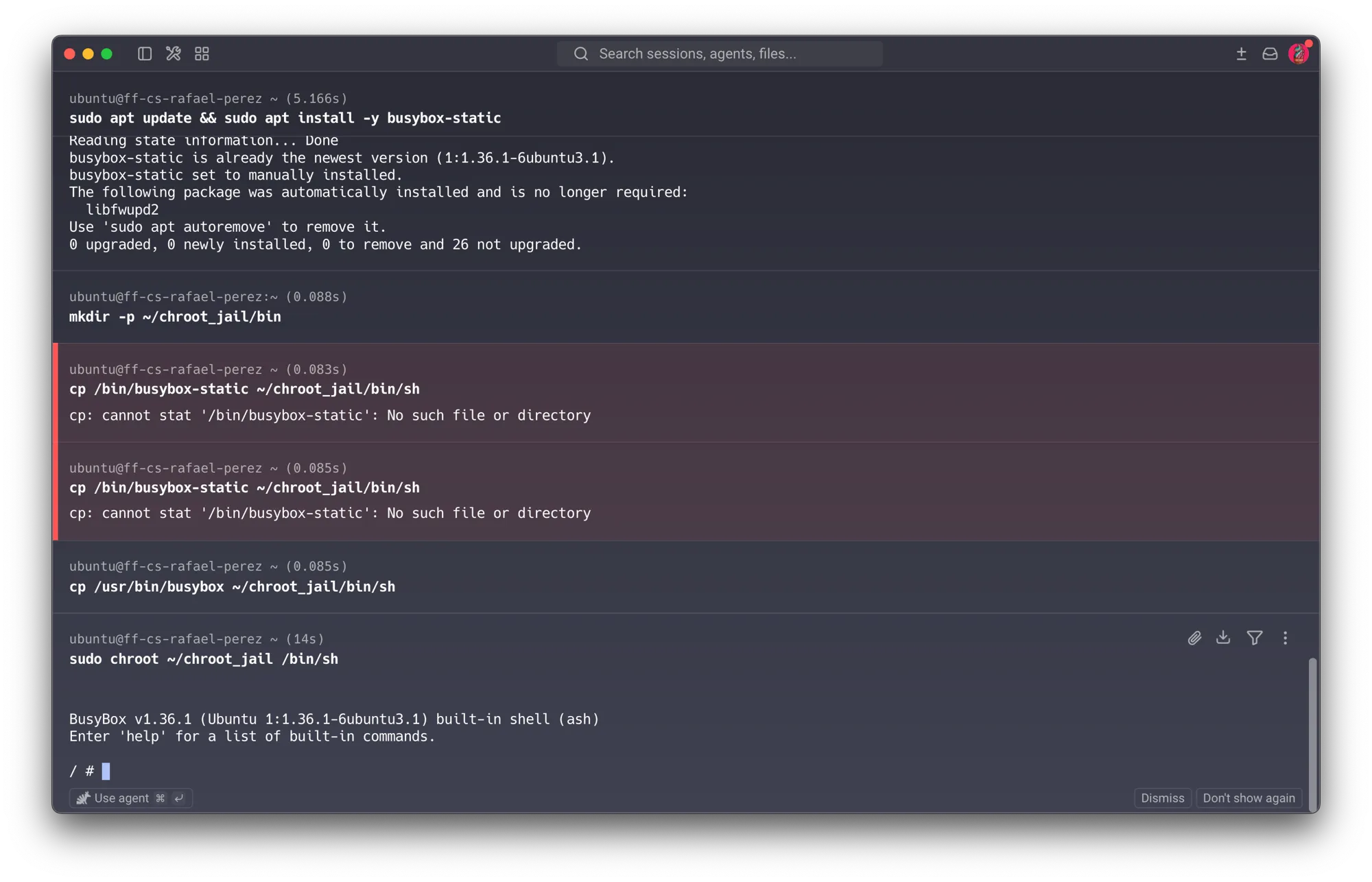 Course VM — cp /bin/busybox-static ... fails twice with No such file or directory; cp /usr/bin/busybox ~/chroot_jail/bin/sh succeeds, then sudo chroot ~/chroot_jail /bin/sh drops into a BusyBox ash prompt