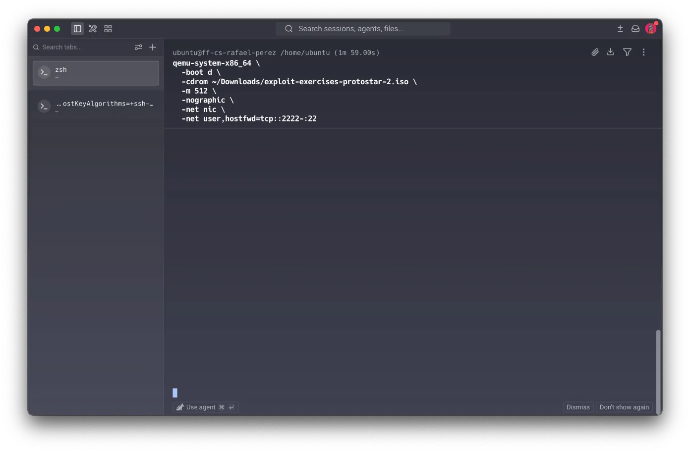 QEMU running headless — nographic + port forwarding 2222→22 active in background