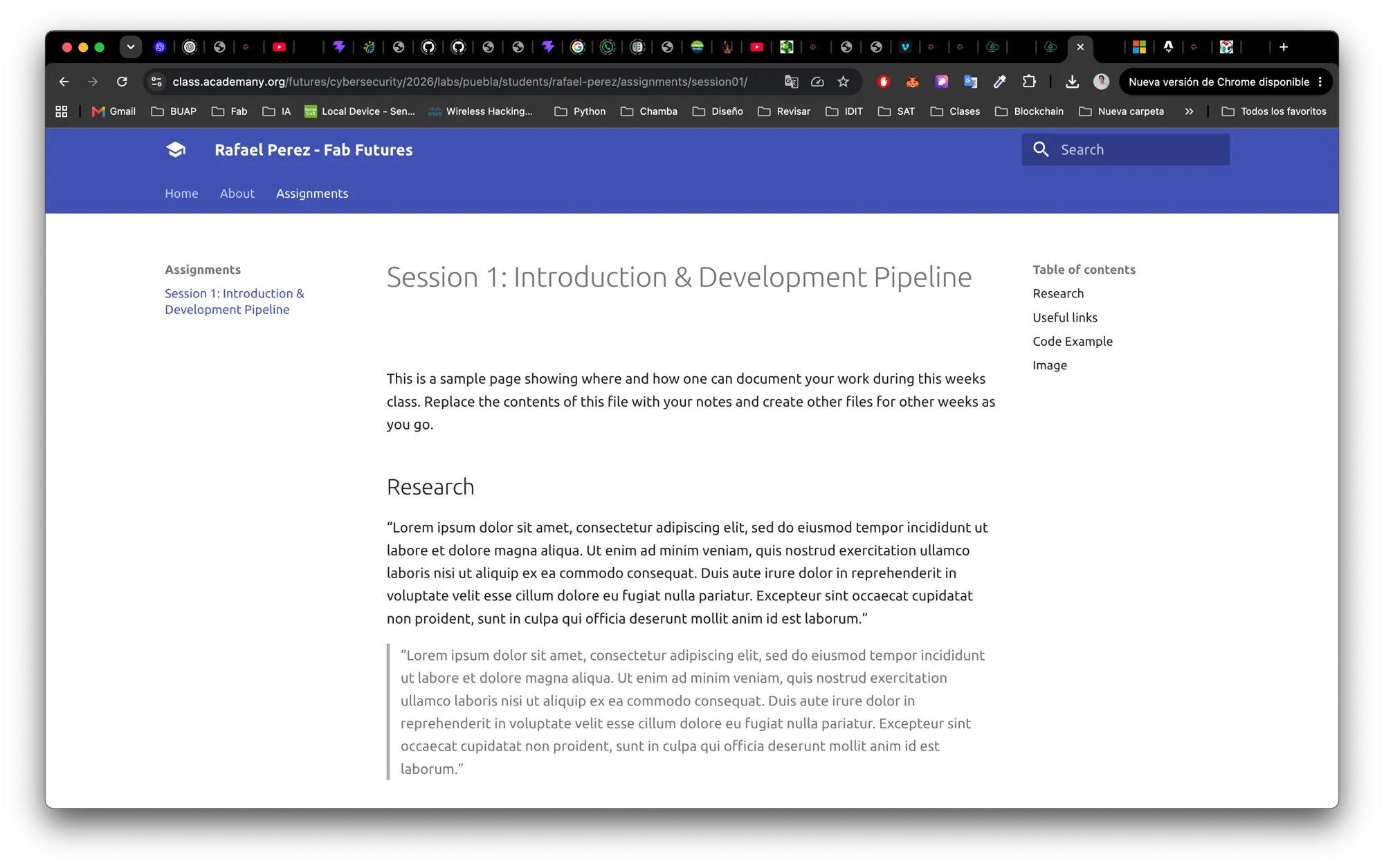 Before — the MkDocs template