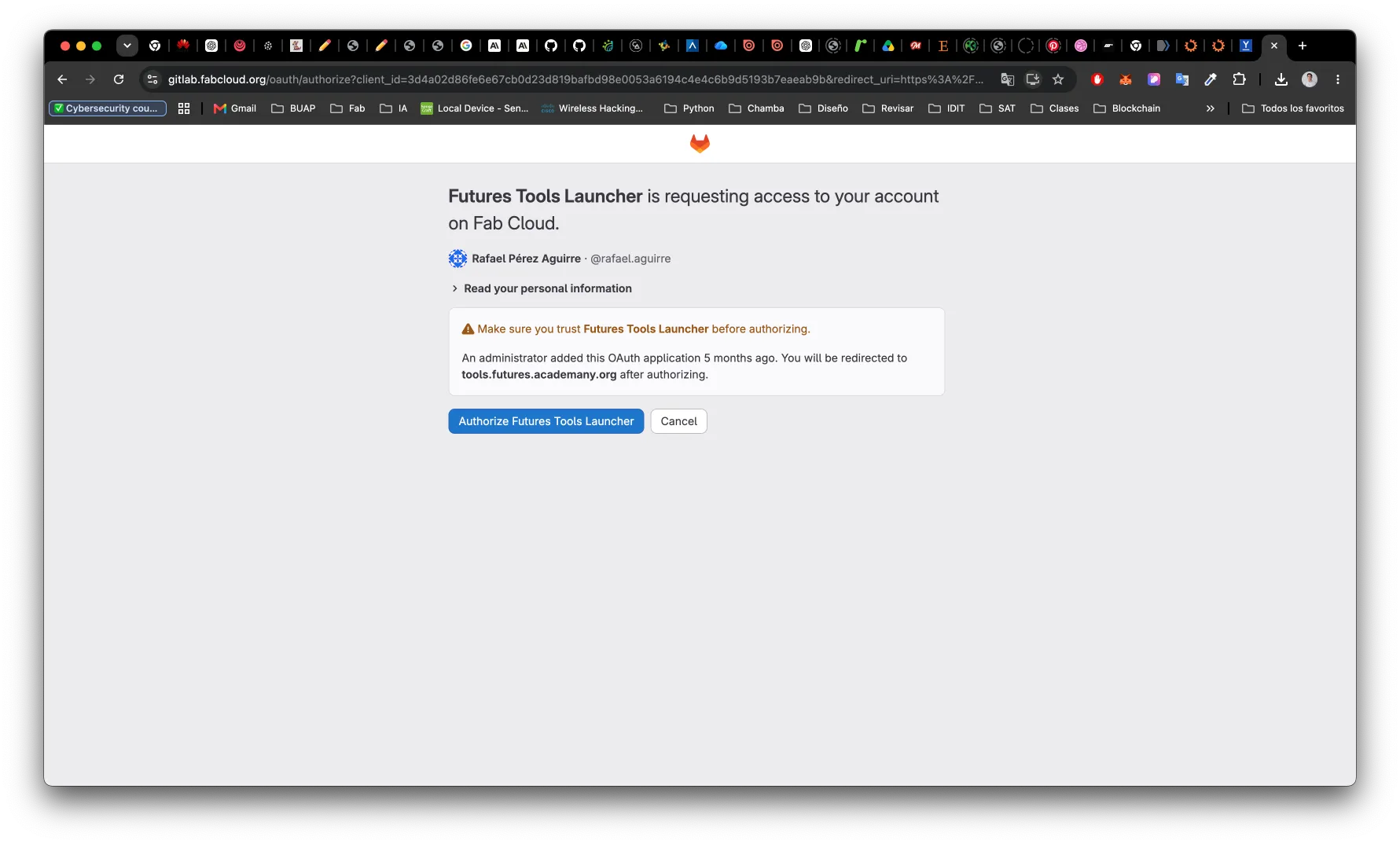 Authorizing the Futures Tools Launcher OAuth app on FabCloud