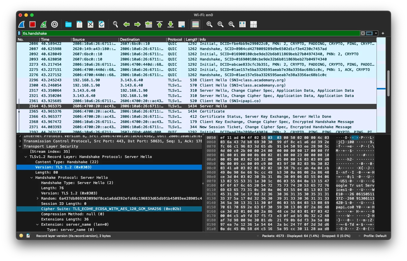 Server Hello — TLS 1.3 one-flight response; TLS 1.2 cipher suite visible on parallel connection