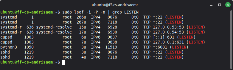 lsdof list open files