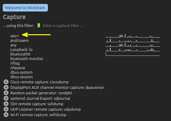 Starting Wireshark