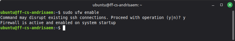 ufw enable
