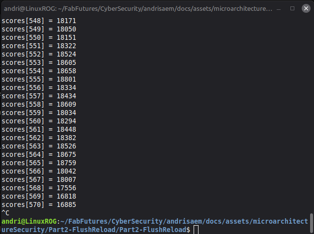 attacker debuggin prints