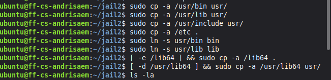 Jail2 copying command to jail