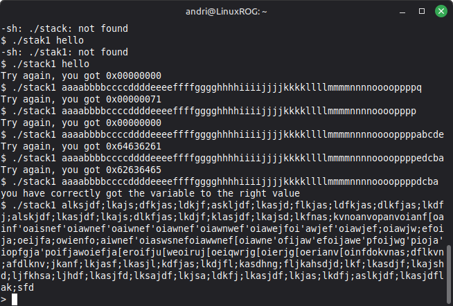 Protostar stack1 segfault test