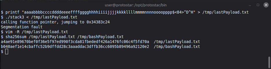 Protostar stack3 final hash check