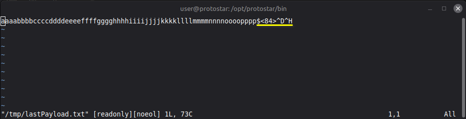 Protostar stack3 final vim check
