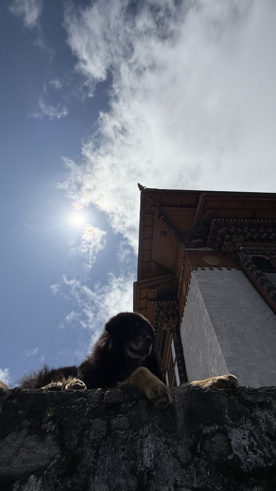 No description has been provided for this image