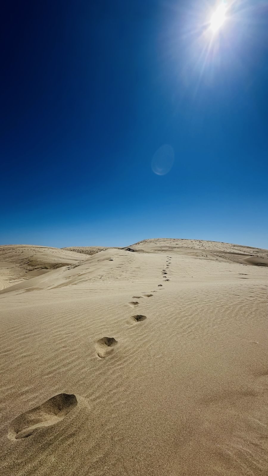 No description has been provided for this image