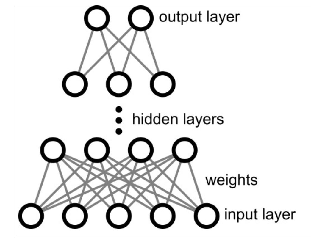 No description has been provided for this image