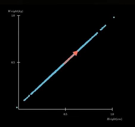 No description has been provided for this image