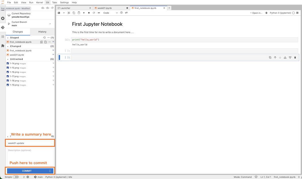 No description has been provided for this image